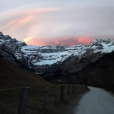 Pour Amoureux De La Nature Et Des Animaux * Auriébat