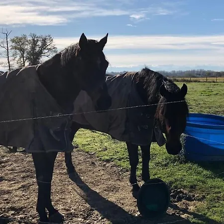 Pour Amoureux De La Nature Et Des Animaux * Auriébat