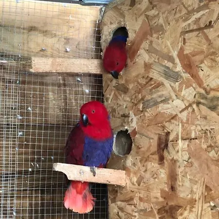 Pour Amoureux De La Nature Et Des Animaux Auriébat