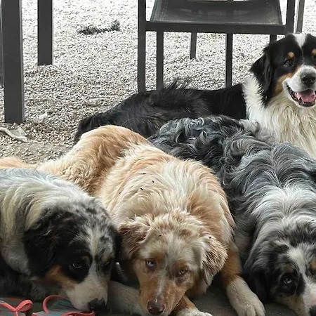 Pour Amoureux De La Nature Et Des Animaux Apartmán *